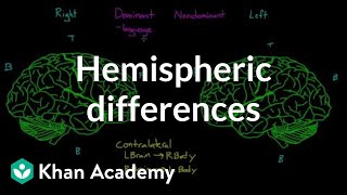 Hemispheric differences and hemispheric dominance
