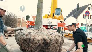 Wiesbauer und Biegert - Macht schwere Arbeit leicht