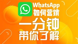 WS云控拓客系统修改WS账号资料流程，WhatsApp获客，WS联系陌生人，WhatsApp自动加人，WS网页客服，WhatsApp营销工具，WhatsApp计数器，WhatsApp翻译器