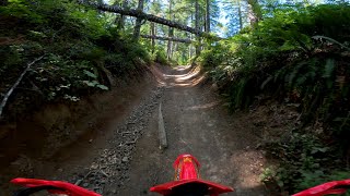 Riding up Hoodraiser INT Section (Trail 20) Tillamook State Forest