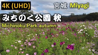 【4K】みちのく公園 秋 Michinoku Park autumn