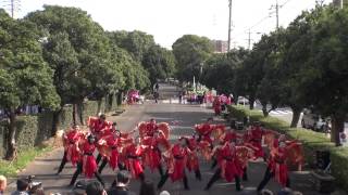 2014 11 8 東海秋祭り　勤労センター前会場　歓・感　G.A.S