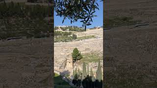 Mount of Olives #shorts #youtubeshorts #vlog