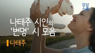 나태주 시인의 '변명' 시낭송 모음｜나태주｜시낭송｜좋은글｜좋은시｜잠잘때 듣는｜오디오북 ｜감성소풍