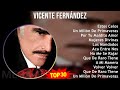 V i c e n t e F e r n á n d e z 2024 MIX Músicas Mais Tocadas ~ 1960s music, Latin, Mexican Trad...