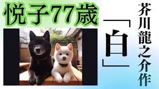 【心が驚く朗読】芥川龍之介作「白」♯柴犬♯義犬♯勇敢