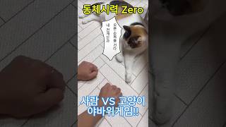 고양이vs사람 야바위 게임!!! #고양이 #cat