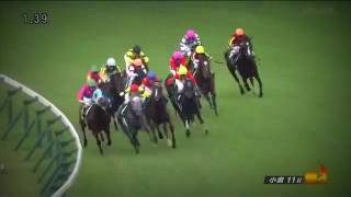 【競馬】  小倉記念 2016年 クランモンタナ ベルーフ - マヤノタバラのJRA頭脳