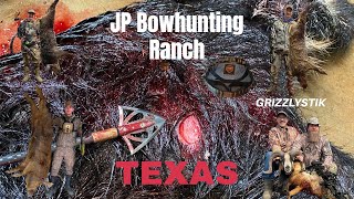 Hog hunting at JP Bowhunting Ranch