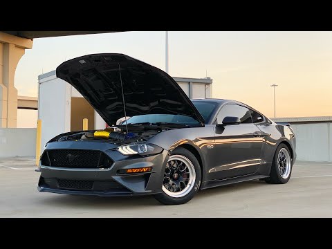 Can you cam a 5.0 Mustang?