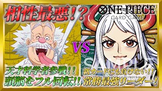 【500年後の未来】相性最悪！？黄ベガパンクvs緑黄ヤマトの戦いが強烈すぎた！！