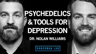 Dr. Nolan Williams: Psychedelics & Neurostimulation for Brain Rewiring | Huberman Lab Podcast #93