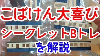 【Bトレ考古学】(219)クモニ83 800番台スカ色