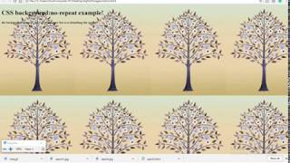 no- repeat in css background-repeat lesson-6 (part-5)