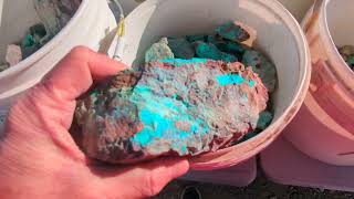 Quartzsite 2025  Desert Gardens Gem and mineral show -Day 1 part 1