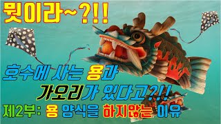 [에피소드001] 우리나라에서 용의 번식이 힘든 이유? 제2부