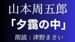 「夕靄の中」愛しい女を横取りされた男の胸に燃える、復讐の炎。作：山本周五郎　朗読：津野まさい　短編傑作　お休み前　リラックスタイムにも