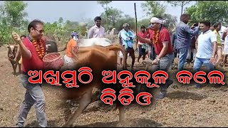 Gaisilat : ବୋଡା ସମ୍ବର କୃଷକ ସଙ୍ଗଠନ ତରଫରୁ ମୁଠି ଛିଆ ଉତ୍ସବ ଧୁମ ଧାମରେ ପାଳିତ | Nilachala News