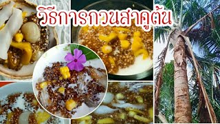 วิธีทำสาคูต้น  ขนมสาคูพื้นบ้านของพัทลุง