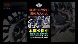 続きは本編でご覧頂けます。【カスタム紹介】XL1200CX ロードスター　漢のカスタム＆３Dペイント！！