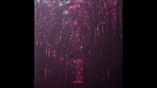 Ivory Library - Ashes (Allfall) [JRG Remaster]