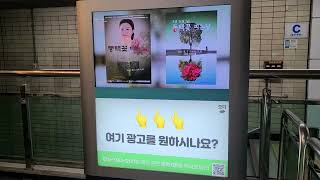 7월 11일 머스타드광고 지하철 혜화역 #서울지하철광고 #하루1만원지하철광고