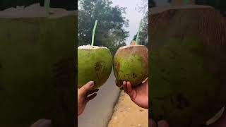 Hello from God’s own country #kerala #trending #shortsvideo #shortsvideo #viral #travel #reels