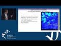 Solving the biggest mysteries: multiple myeloma and cell dormancy - Prof Peter Croucher