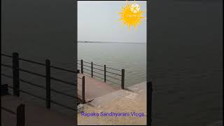 kamalapur చెరువు # Shorts # # cheruvu # Rapaka Sandhyarani Vlogs...