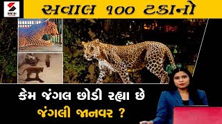 SAWAL 100 TAKANO | સવાલ 100 ટકાનો | કેમ જંગલ છોડી રહ્યા છે જંગલી જાનવર ? | Animals