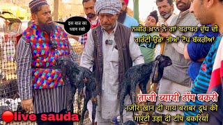 नज़ीर ख़ान दी गाय बराबर दूध की गारंटी उड़ा दी टॉप बकरियाँ #live_sauda Mullanpur mandi @farmingbaba