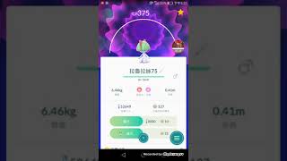 Pokemon Go 由拉魯拉絲進化到莎奈朵，CP竟然達到了2600以上！！