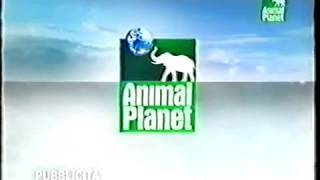 2007 - Animal Planet - Bumper Pubblicitario