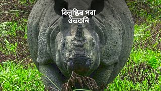 বিলুপ্তিৰ পৰা ওভতনি