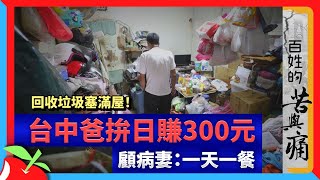 百姓的苦與痛｜回收垃圾塞滿屋！台中爸拚日賺300元　顧病妻：一天一餐 | 台灣新聞 Taiwan 蘋果新聞網