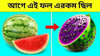 আগে এই ফল কেমন ছিল জানলে অবাক হবেন//Amazing random facts in bangla