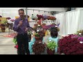 new coleus for 2017 from ball floraplant