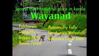 Wayanad Tourism, Kerala part 1