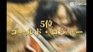 個人的に死んでほしくなかったワンピースキャラランキング