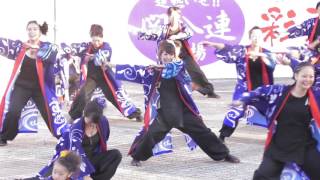 遊人・本祭２日目☆関八州よさこいフェスタ2016 in 関八連劇場