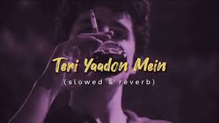 Teri Yaadon Mein (Slowed & Reverb) KK,Shreya Ghosal | The Killer@lofi_Zones_24_7