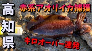 【ヤエン釣り】2021年12月5日高知県宿毛市沖磯