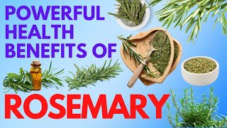 Powerful Health Benefits and side effects of Rosemary