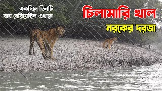 চিলমারী খাল এ যেন এক নরকের দরজা |একদিনে ৩ টি বাঘ বেরিয়েছিল এখানে | #sundarbanoligoli