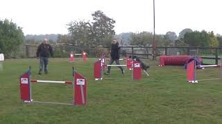 2018-10-20 Tiamo - jumping - Clubwedstrijd Dogwood Agility