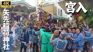 【矢先稲荷神社】本社神輿の宮入　～2024年～