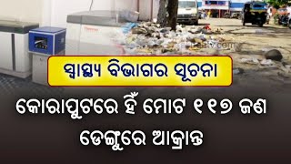 Reporter Special: 117 Dengue Cases Detected In Koraput District || KalingaTV