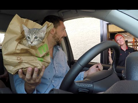 Drive Thru Pranks Youtube