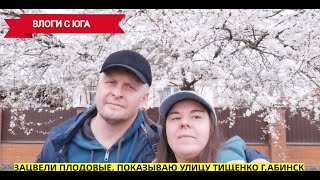 🔥ПОКАЗЫВАЮ ул.ТИЩЕНКО г.АБИНСК, дома в продаже☀️Переезд на юг в Краснодарский край