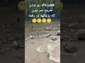 اینم از عجایبه دیگه فقط اونی که داد میزنه انگار بدجور گشنشه